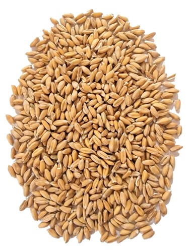 Bio dinkel direkt - bio,