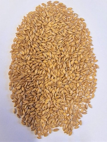 Bio einkorn direkt - direkt, vom