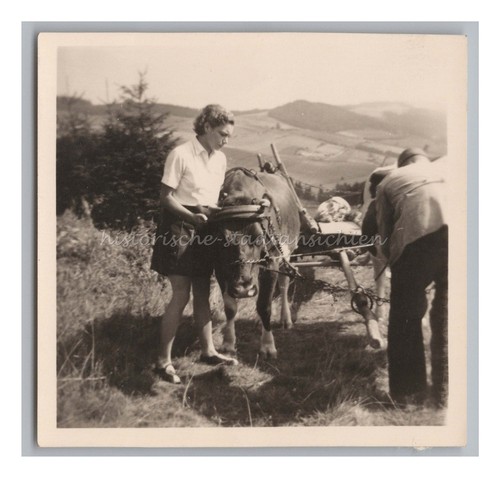 Landwirt und junge frau - junge,